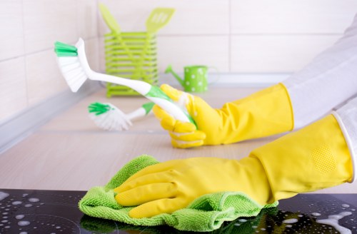 Kitchen and bathroom domestic cleaning in a SW3 apartment with careful attention to detail