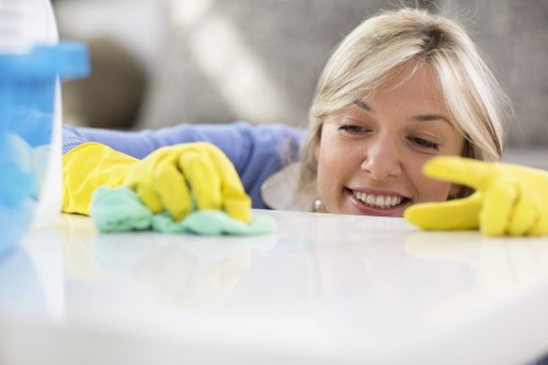 Cleaning specialist checking carpet cleaning products and safety controls