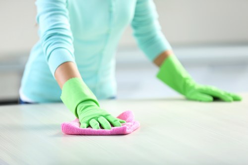 Specialist carpet cleaners in SW3 working on a delicate carpet