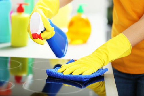 End of tenancy cleaning checklist prepared for an SW3 property