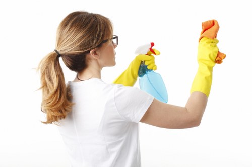 Risk assessment and safety checks before carpet cleaning starts